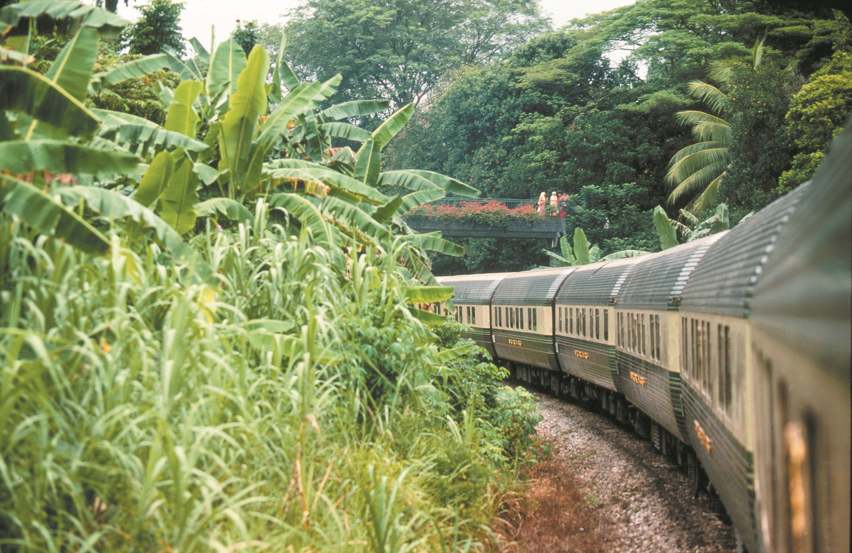 Eastern & Oriental Express &mdash; wagon-restaurant, boiseries tropicales, service gastronomique