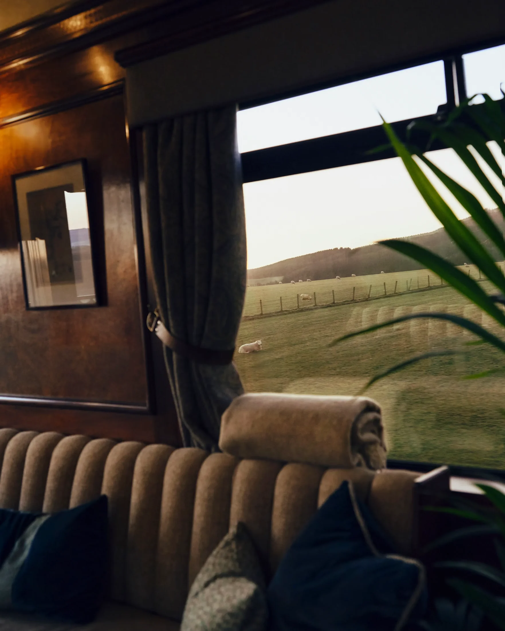 Fauteuil du salon d'observation Royal Scotsman &mdash; vue campagne &eacute;cossaise, moutons